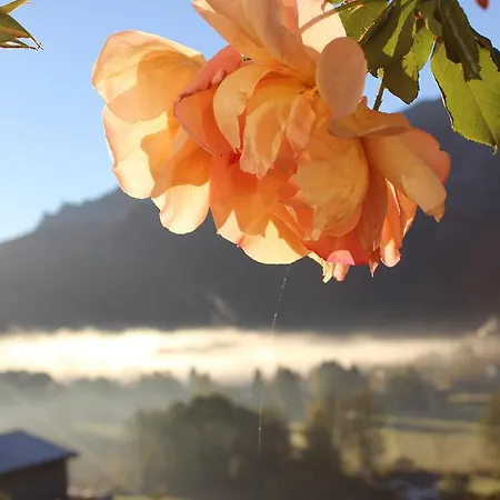 Pensión Leitnerhof 3*